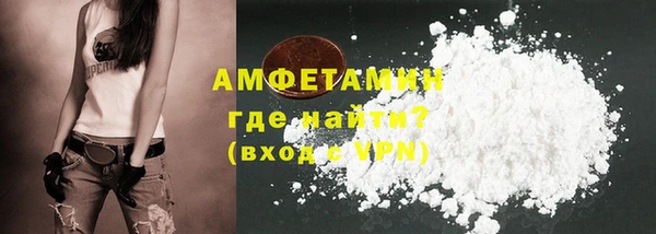 крисы Бородино