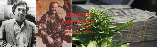 крисы Бородино