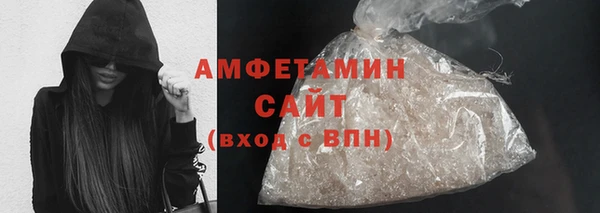 крисы Бородино