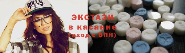 крисы Бородино
