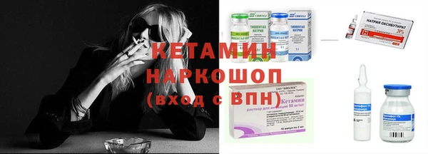 крисы Бородино