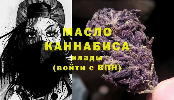 крисы Бородино