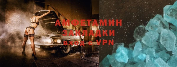 крисы Бородино