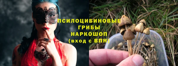 крисы Бородино