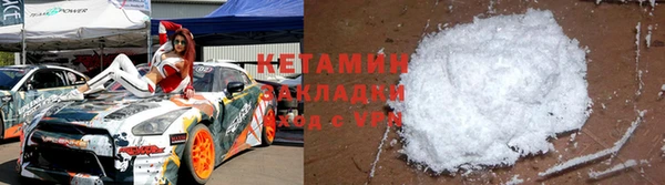 крисы Бородино